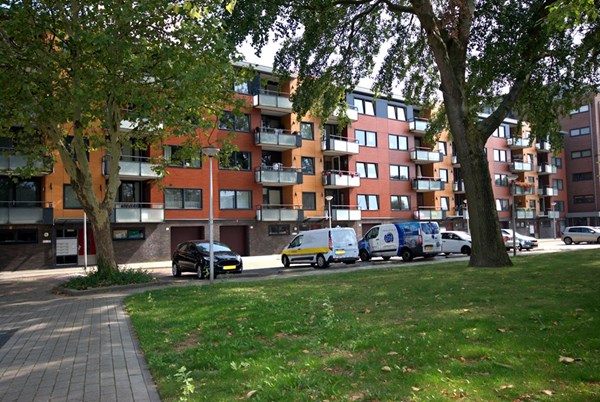 Meiendaal 113, Rozenburg